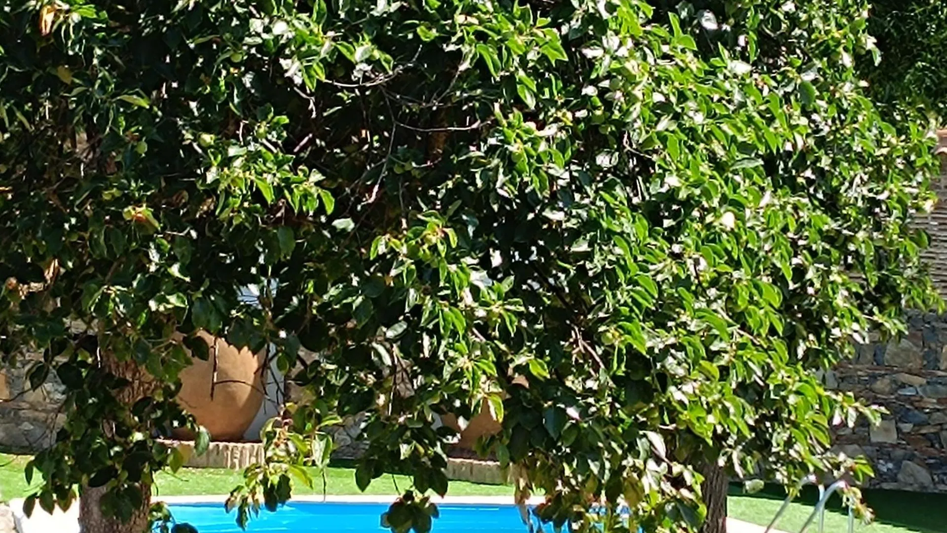 Holiday home Cortijo San Rafael Villa Constantina
